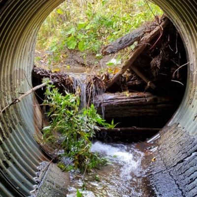 large culvert 2